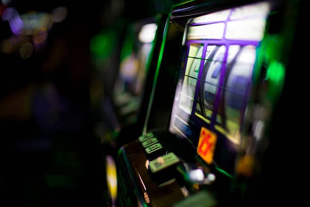 Sic Bo betting layout and payout table displayed on garuda 4d live-dealer interface